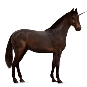 riding unicorn holsteiner chestnut