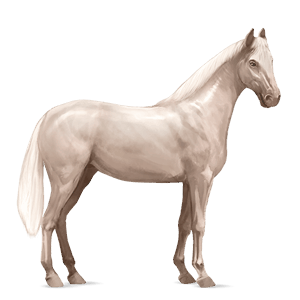riding horse light grey