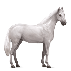 riding horse light grey