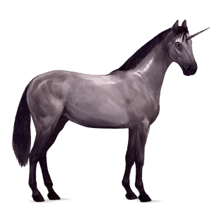 riding unicorn bay