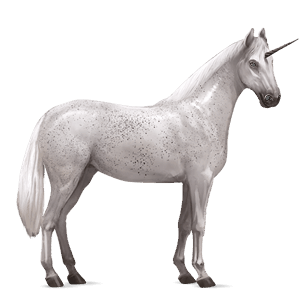 riding unicorn chestnut leopard 