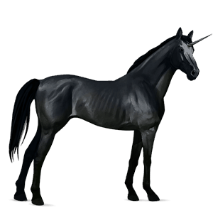 riding unicorn thoroughbred light grey
