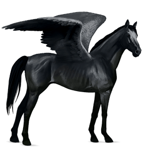 riding pegasus knabstrupper black leopard 