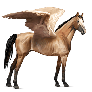riding pegasus thoroughbred cherry bay