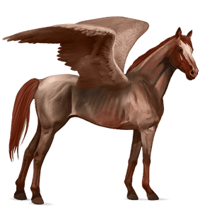 riding pegasus thoroughbred dark bay
