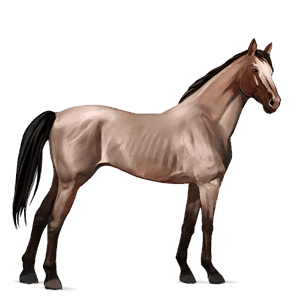 riding horse tennessee walker liver chestnut