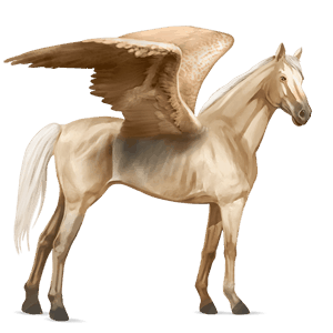 riding pegasus palomino