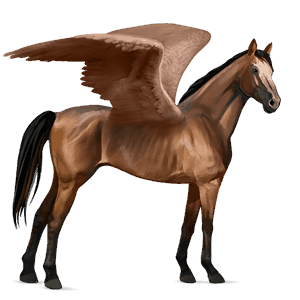 riding pegasus thoroughbred liver chestnut