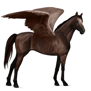 riding pegasus quarter horse palomino