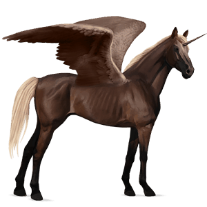 winged riding unicorn bay