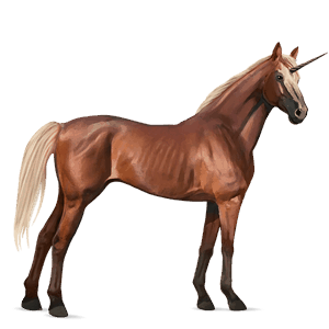 riding unicorn thoroughbred dapple grey