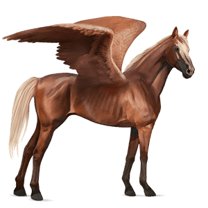 riding pegasus argentinean criollo chestnut tobiano