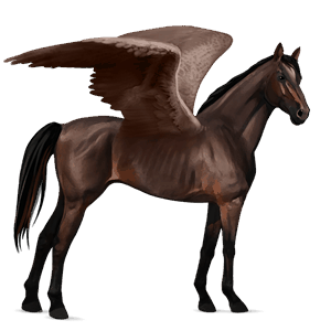 riding pegasus dark bay