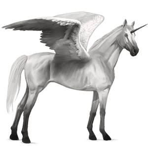 winged riding unicorn knabstrupper black leopard 