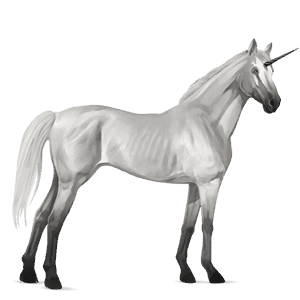 riding unicorn hanoverian light grey