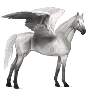 riding pegasus thoroughbred light grey