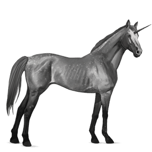 riding unicorn thoroughbred dapple grey