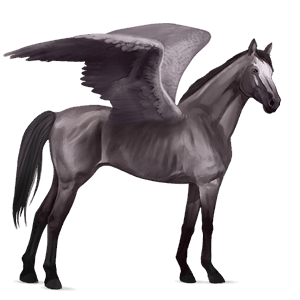 riding pegasus liver chestnut