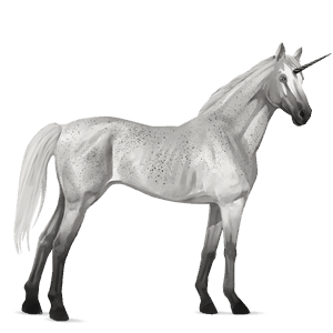 riding unicorn thoroughbred light grey