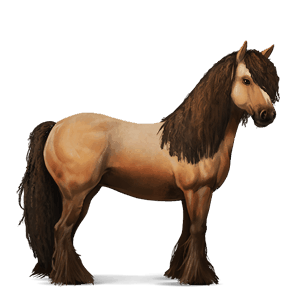 riding horse vanner black
