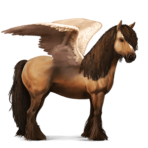 riding pegasus vanner dun