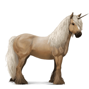 riding unicorn bay