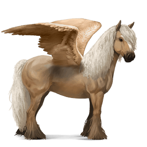 riding pegasus vanner dun