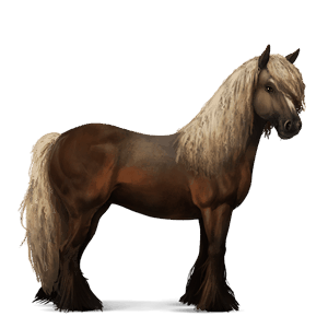 riding horse thoroughbred bay