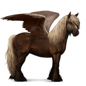 riding pegasus kwpn bay