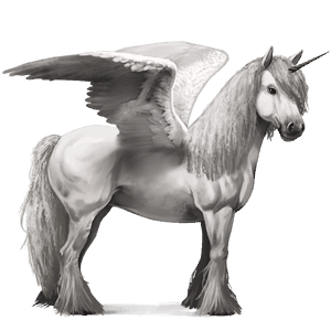 winged riding unicorn shagya arabian light grey