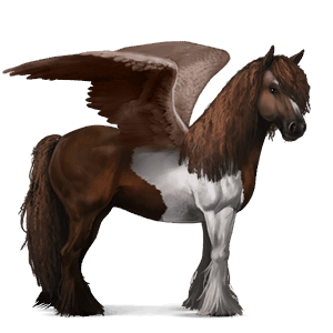 riding pegasus vanner black tobiano