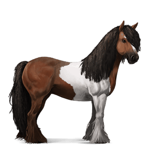 riding horse akhal-teke liver chestnut