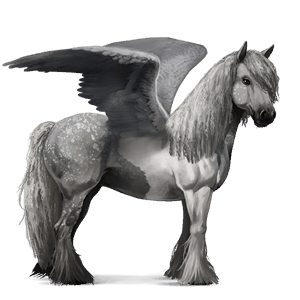 riding pegasus vanner palomino tobiano
