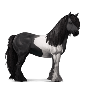 riding horse black tobiano