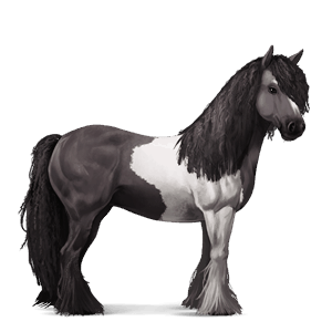 riding horse tennessee walker dapple grey