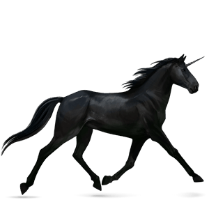 riding unicorn french trotter bay