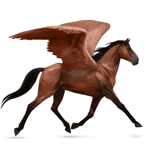 riding pegasus argentinean criollo flaxen chestnut 