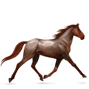riding horse hanoverian roan