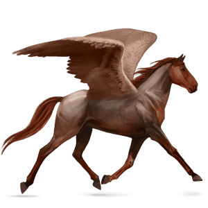 riding pegasus tennessee walker black