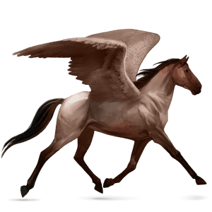 riding pegasus argentinean criollo liver chestnut
