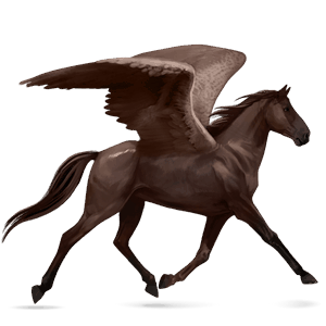 riding pegasus argentinean criollo flaxen chestnut 
