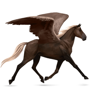 riding pegasus holsteiner cherry bay