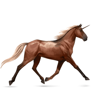 riding unicorn holsteiner dapple grey