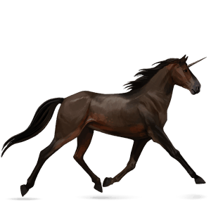 riding unicorn knabstrupper chestnut leopard 