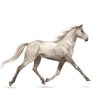 riding horse light grey