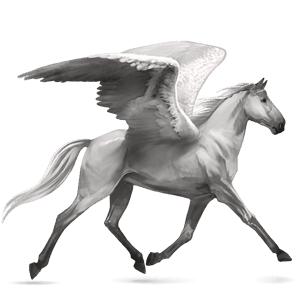 riding pegasus purebred spanish horse palomino
