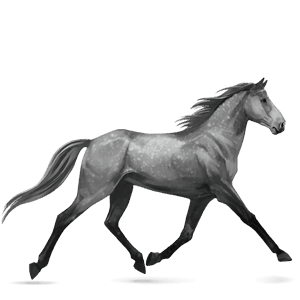 riding horse french trotter dapple grey