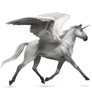 winged riding unicorn argentinean criollo mouse grey