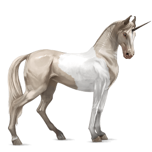 riding unicorn thoroughbred dark bay