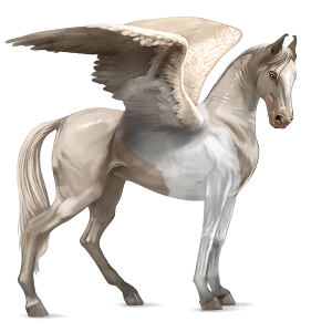 riding pegasus vanner dun tobiano